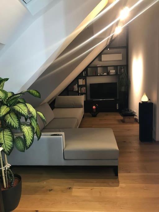 Grosszuegiges Dachterrassen-Appartment Mit Klimaanlage Und Wunderbarem Ausblick ウィーン エクステリア 写真